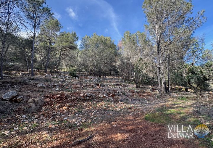 Helårsgrund i Jalon, Alicante, Jalon - € 210.000 | Ref: P-601 - foto 1